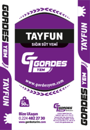 Tayfun