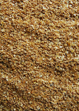 Mısır Gluten Yemi